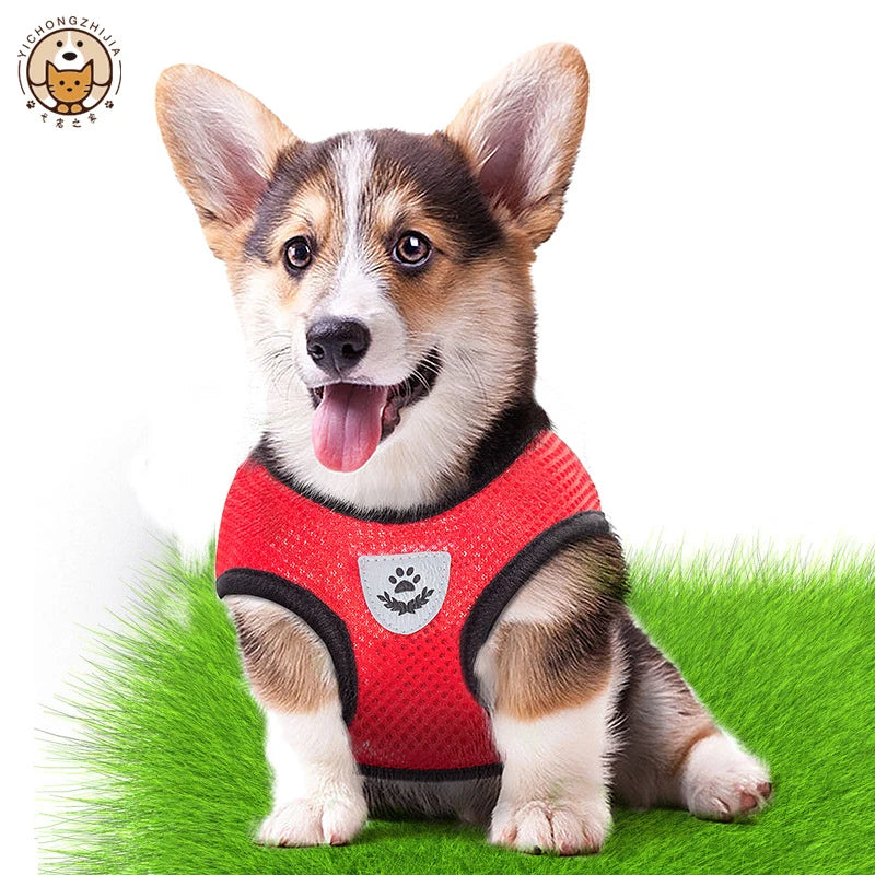 Cat Harness Vest Walking Leash For Puppy dog Collar Polyester Adjustable Mesh Dog Harness For Small Medium Pet Accessories