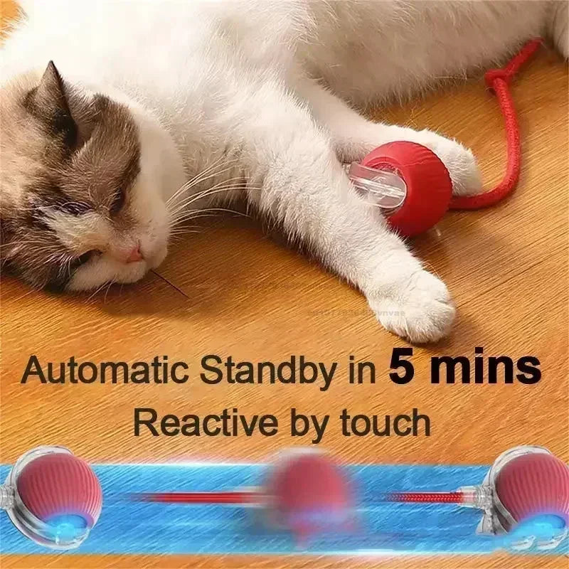Cat Toys Interactive Ball Cat Accessories Interactive Cat Ball Kitten CatBall Toys Electronic Automatic Rolling Magic Ball