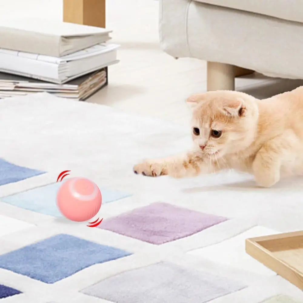 Cat Interactive Ball Training Self-moving Kitten Electric Cat Ball Toys Electronic Automatic Rolling Magic Ball Toys for Cat